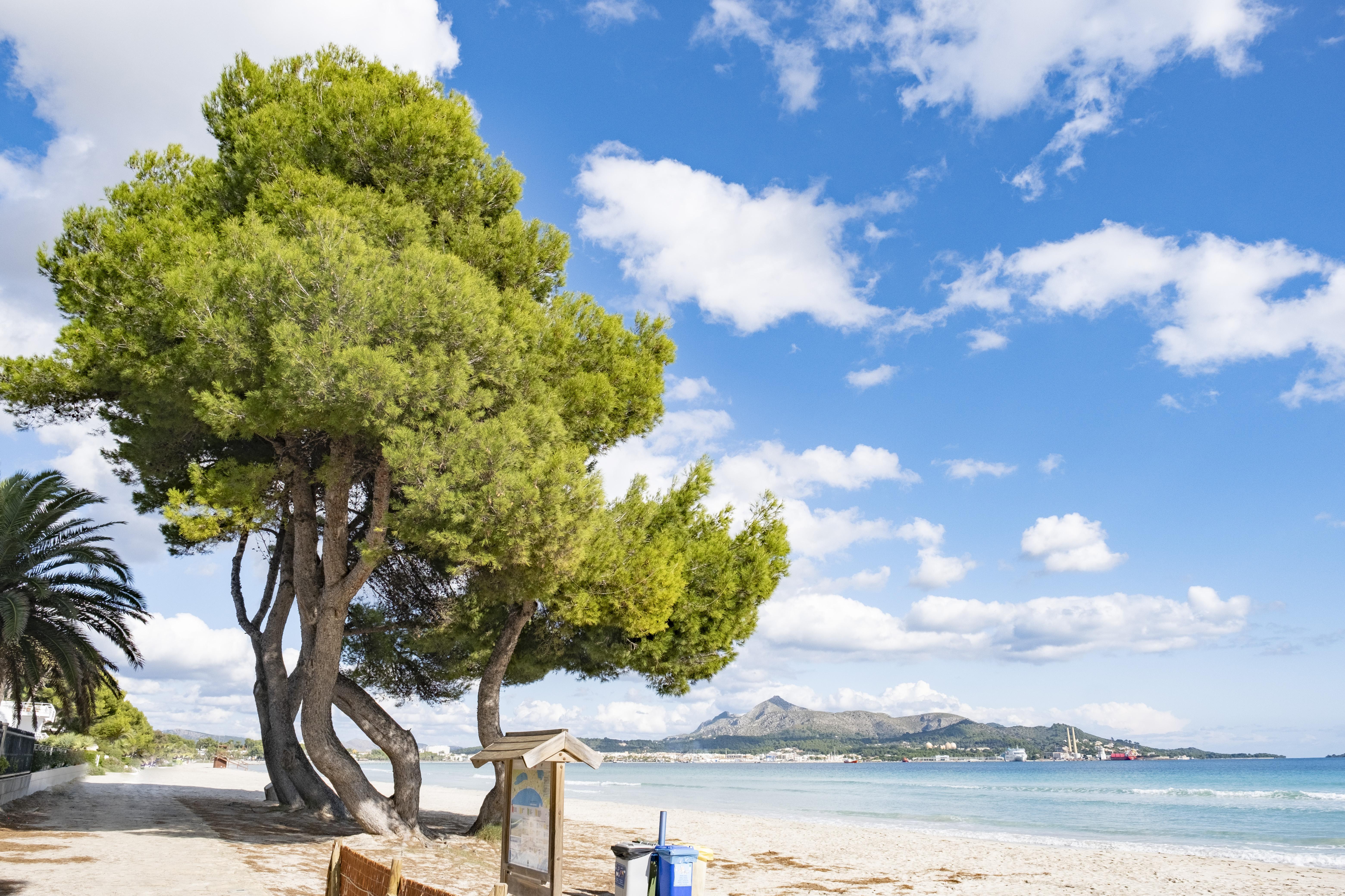 Eix Platja Daurada Hotel & Spa Can Picafort  Exteriör bild